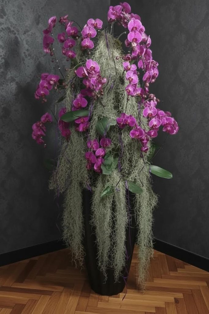 استند بلند لاکچری ارکیده سفید، نماد اصالت و زیبایی در دکوراسیون مدرن منزل