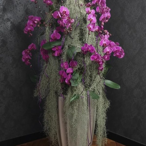 عکس استند بلند لاکچری ارکیده، نقطه کانونی دکوراسیون لوکس و مدرن