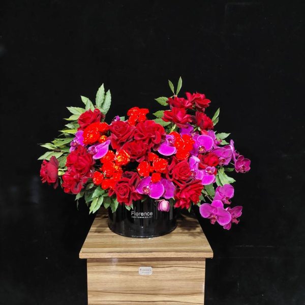 مولتی مشکی کوچک با رز قرمز ولنتاین - گلدان سرامیکی مشکی براق، رز قرمز ریشه‌دار یا شاخه‌بریده، گیاه آپارتمانی ماندگار و هدیه ولنتاین خاص از گلفروشی فلورانس